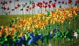 桃花三味在线观看风车,一场穿越时空的浪漫邂逅