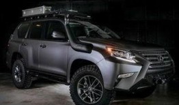 gx最新配色爆料,时尚潮流引领潮流风向标”